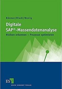 Digitale SAP - Massendatenanalyse 