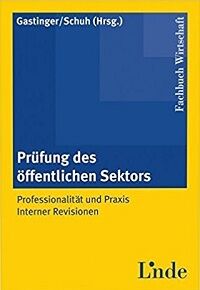Prüfung des öffentlichen Sektors