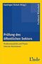 Prüfung des öffentlichen Sektors