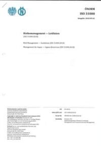 Risikomanagement - Leitlinien